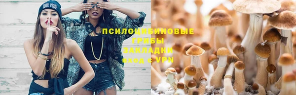 спайс Абинск